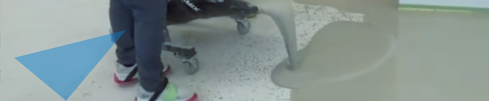 セルフレベリング事業